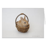 A rabbit is in a basket.Netherland Dwarf. Cards