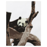A relaxing giant panda on tree branches personalized flyer