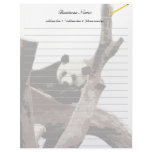 A relaxing giant panda on tree branches letterhead template