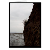 A rest on a grey day cards