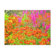 A Riot of Colour HDR Postcard