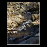 A River Flowing postcards