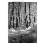A Road Less Travelled Card