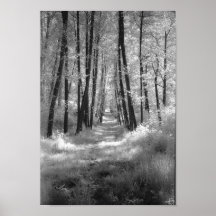 A Road Less Travelled Poster