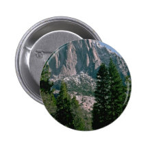 A Road Through The Woods Pinback Buttons