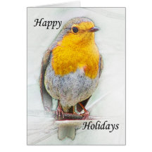 A Robin Christmas Card