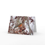A Robin Greeting The Winter Season Card