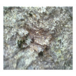 A Rock Photo Art