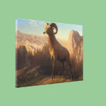 A Rocky Mountain Sheep, Bierstadt Albert canvas prints