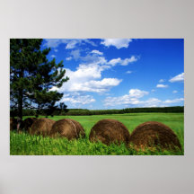 A Roll In The Hay Posters
