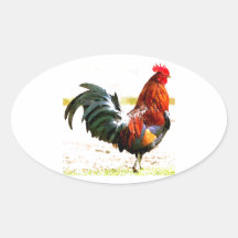 A Rooster Oval Stickers