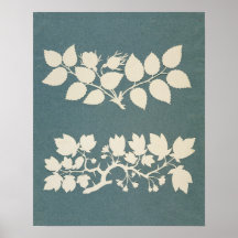 A Rose Branch and Jasmin Branch Poster