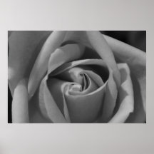 A Rose By Any Other Name Print