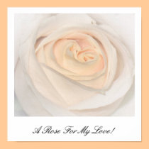A Rose For My Love! posters