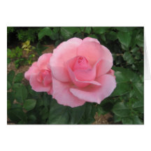 A Rose is a Rose Card