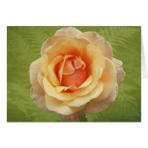 A Rose Is a Rose Greeting Card