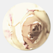 A Rose Is A Rose Round Sticker