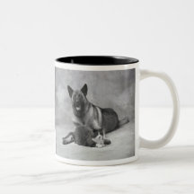 A.S.K. - Chien et chat Tasse