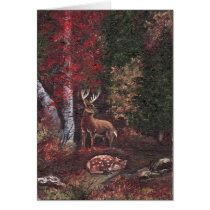 A Sancutary Card