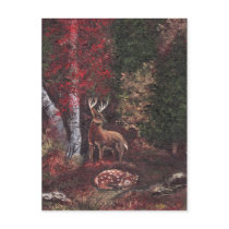 A Sancutary Post Card