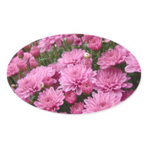 A Sea of Pink Chrysanthemums #2 Oval Sticker
