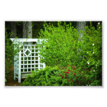 A Seat in the Garden Photo Art