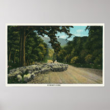 A Shepherd Leading Sheep on a Maine Highway Posters