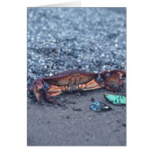A Shore Crab Greeting Cards