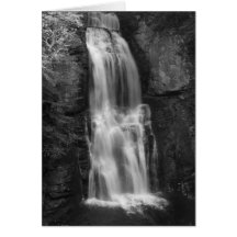 A Silent Roar Greeting Card