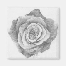 A Simple Rose Fridge Magnets