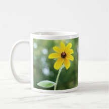 A Single Black Eyed Susan Mugs