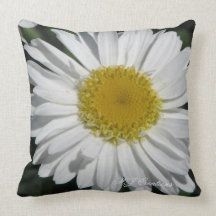 A Single Daisy Pillows