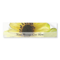 A Single Lemon Yellow Sunflower Bumper Stickers