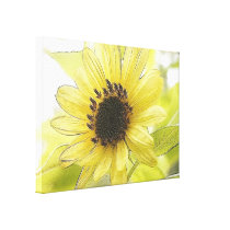 A Single Lemon Yellow Sunflower Gallery Wrap Canvas