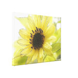 A Single Lemon Yellow Sunflower Gallery Wrap Canvas