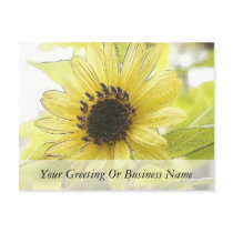 A Single Lemon Yellow Sunflower Postcards