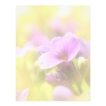 A Single Purple Rock Cress Flower Customized Letterhead