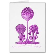 A Slime Mould Card
