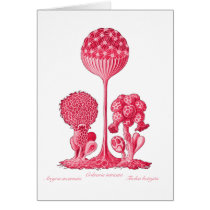 A Slime Mould Greeting Card