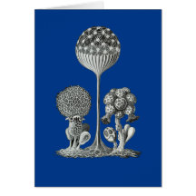 A Slime Mould Card
