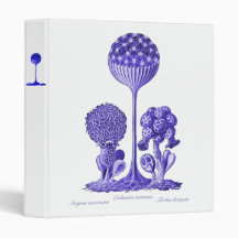 A Slime Mould Vinyl Binders