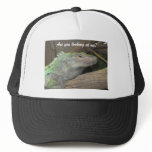 A smug lizard hat.  (Are you looking at me?)