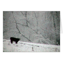A Snowy World For This Cow, Greeting Card