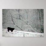 A Snowy World For This Cow, Poster
