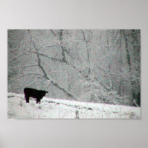 A Snowy World For This Cow, Poster