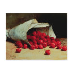 A spilled bag of cherries post card