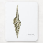 A spindle snail mouse pads