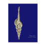 A spindle snail post card
