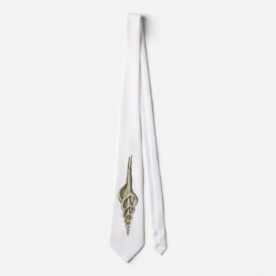 A spindle snail neckties by Ernst_Haeckel
