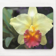 A Spot of Sunshine in the Garden Mouse Pad